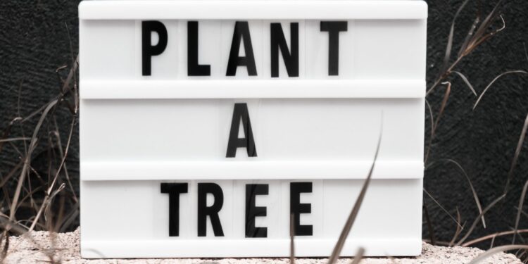  Cum să te implici în proiecte sociale și ecologice